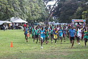 NAAA Cross Country Championships 2011