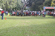 NAAA Cross Country Championships 2011