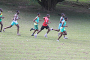 NAAA Cross Country Championships 2011