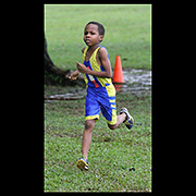 NAAA Cross Country Series POS Decsmber 2013