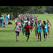 NAAA Cross Country Series POS Decsmber 2013