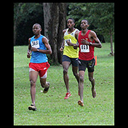 NAAA Cross Country Series POS Decsmber 2013