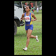 NAAA Cross Country Series POS Decsmber 2013