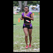 NAAA Cross Country Series POS Decsmber 2013