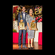 NAAA 2013 Awards POS January 2014