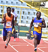 NAAA Carifta Trials