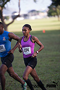 NAAATT National XC Champs 2018