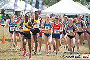 NACAC XC Champs 2019